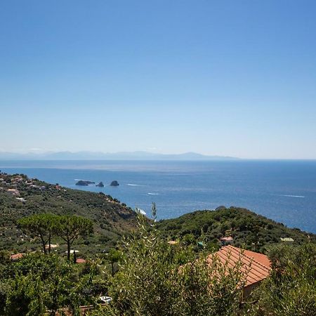 Geca'S House - Panoramic Sea View Studio ماسّا لوبْرينسِ المظهر الخارجي الصورة