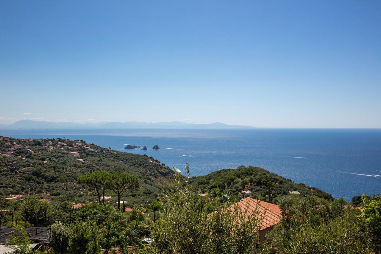 Geca'S House - Panoramic Sea View Studio ماسّا لوبْرينسِ المظهر الخارجي الصورة